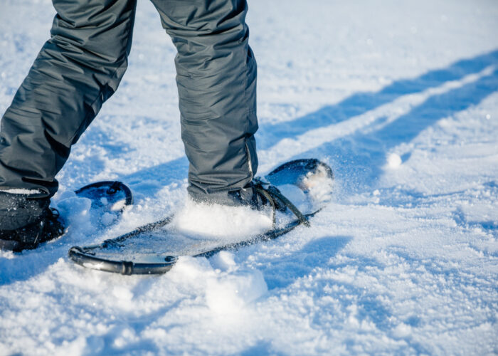 Sneeuwschoen avontuur, Noors Lapland, Tromso, Noorwegen