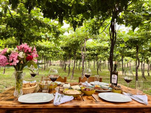 Alpeta Winery Berat, Reis Albanië