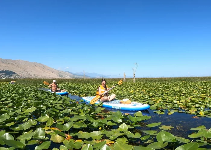 Kajakken Shkodra meer Albanië